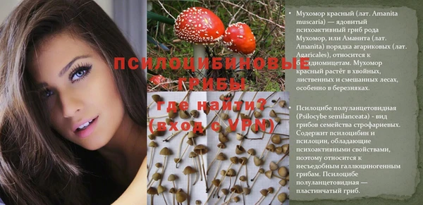 соль ск Верхний Тагил