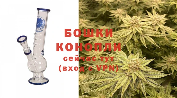 соль ск Богданович