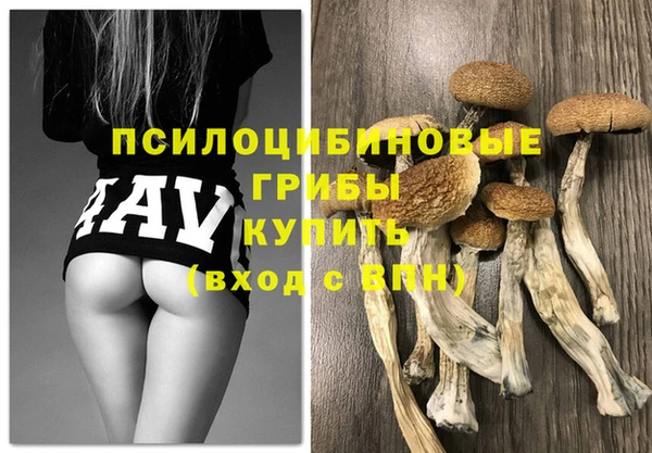 прущая мука Вяземский