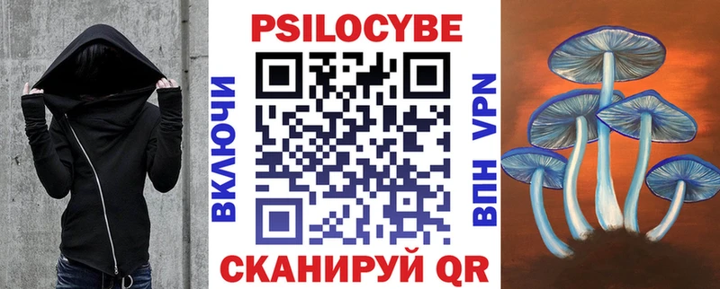 Псилоцибиновые грибы Psilocybine cubensis  Западная Двина 